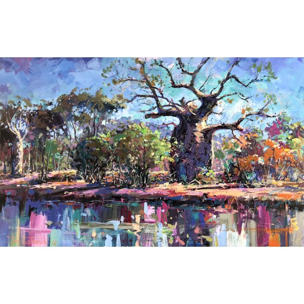 Boab Trees 28
